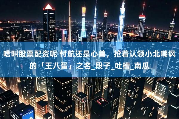 啥叫股票配资呢 付航还是心善，抢着认领小北嘲讽的「王八蛋」之名_段子_吐槽_南瓜