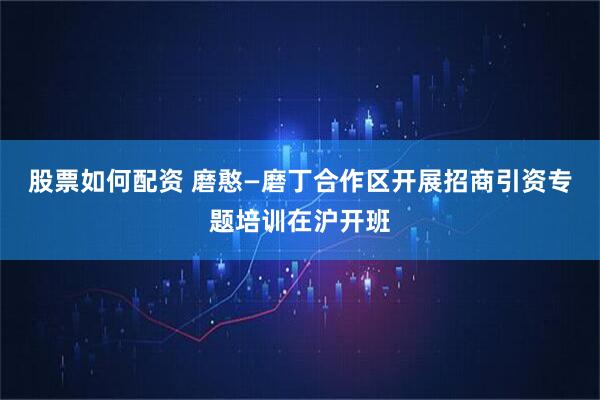 股票如何配资 磨憨—磨丁合作区开展招商引资专题培训在沪开班